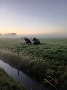 Pat 03 Misty Morning